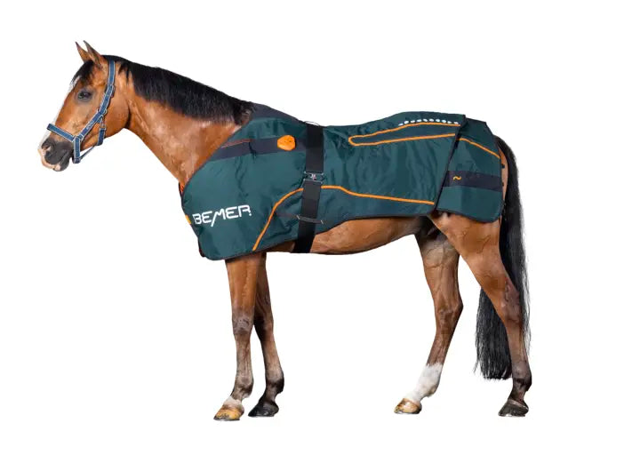 Horse Blanket